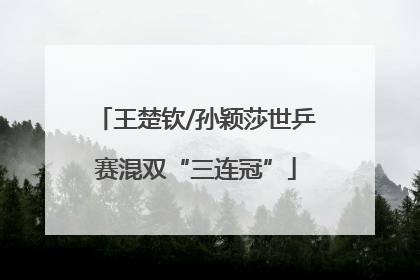 王楚钦/孙颖莎世乒赛混双“三连冠”