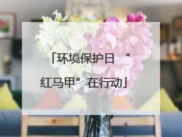 环境保护日 “红马甲”在行动