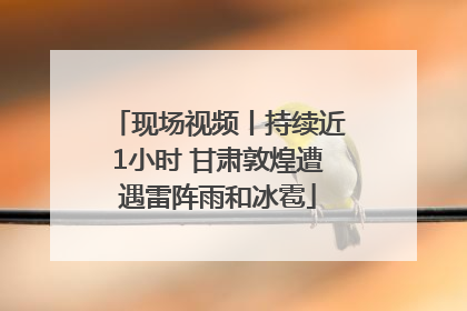 现场视频丨持续近1小时 甘肃敦煌遭遇雷阵雨和冰雹