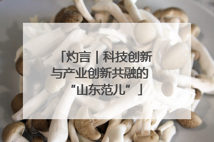 灼言｜科技创新与产业创新共融的“山东范儿”