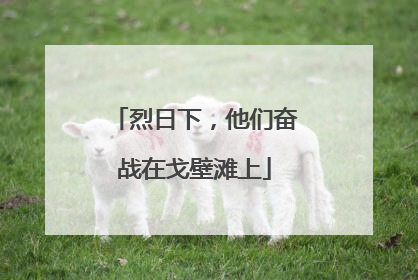 烈日下，他们奋战在戈壁滩上