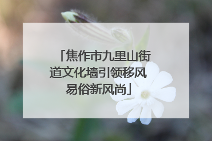 焦作市九里山街道文化墙引领移风易俗新风尚