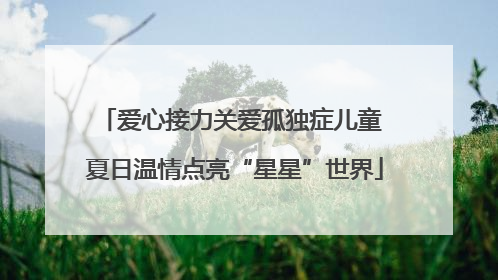 爱心接力关爱孤独症儿童 夏日温情点亮“星星”世界