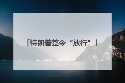 特朗普签令“放行”
