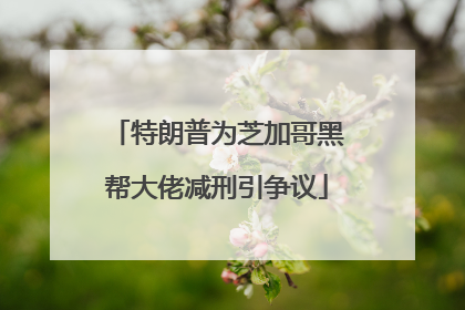 特朗普为芝加哥黑帮大佬减刑引争议