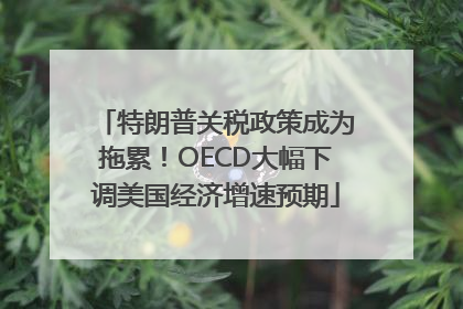 特朗普关税政策成为拖累！OECD大幅下调美国经济增速预期