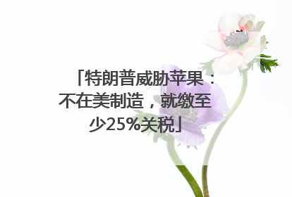 特朗普威胁苹果：不在美制造，就缴至少25%关税