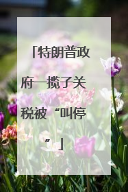 特朗普政府一揽子关税被“叫停”