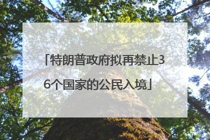 特朗普政府拟再禁止36个国家的公民入境