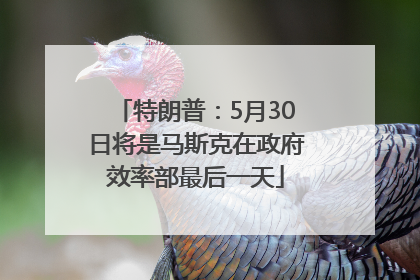 特朗普：5月30日将是马斯克在政府效率部最后一天
