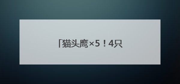 猫头鹰×5！4只在闲置房“安家”