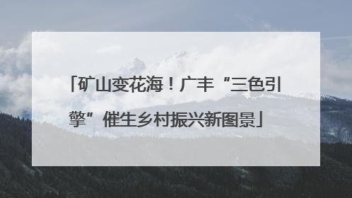 矿山变花海！广丰“三色引擎”催生乡村振兴新图景