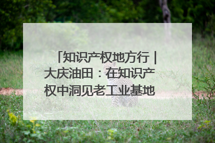 知识产权地方行｜大庆油田：在知识产权中洞见老工业基地的 “创新密码”