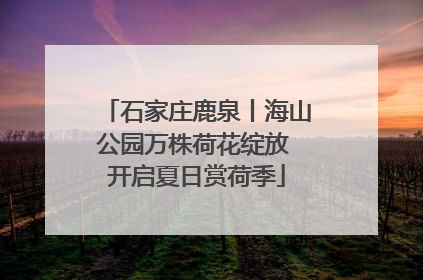 石家庄鹿泉丨海山公园万株荷花绽放 开启夏日赏荷季