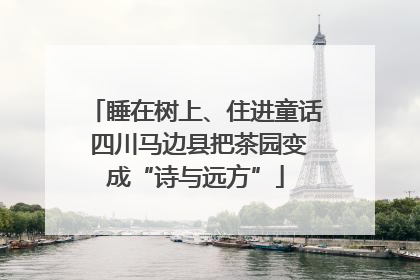 睡在树上、住进童话 四川马边县把茶园变成“诗与远方”