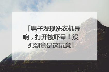 男子发现洗衣机异响，打开被吓晕！没想到竟是这玩意