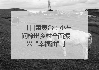 甘肃灵台：小车间榨出乡村全面振兴“幸福油”
