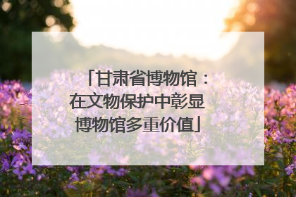 甘肃省博物馆：在文物保护中彰显博物馆多重价值
