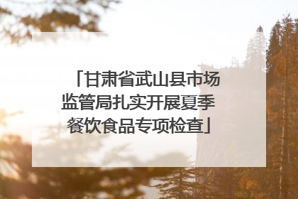 甘肃省武山县市场监管局扎实开展夏季餐饮食品专项检查