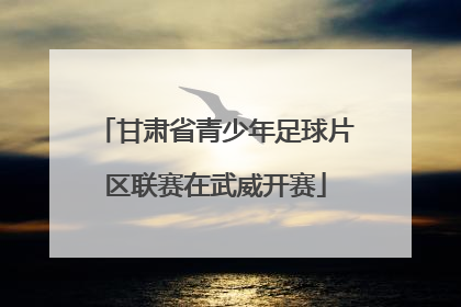 甘肃省青少年足球片区联赛在武威开赛