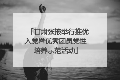甘肃张掖举行推优入党暨优秀团员党性培养示范活动