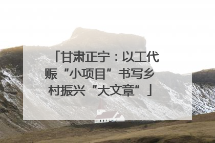 甘肃正宁：以工代赈“小项目”书写乡村振兴“大文章”