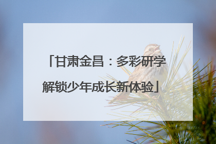 甘肃金昌：多彩研学解锁少年成长新体验