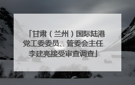 甘肃（兰州）国际陆港党工委委员、管委会主任李建亮接受审查调查