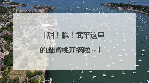 甜！脆！武平这里的鹰嘴桃开摘啦～