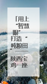 用上“智慧眼” 打造“吨粮田”——陕西宝鸡一座无人农场夏收见闻