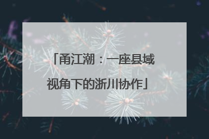 甬江潮：一座县域视角下的浙川协作