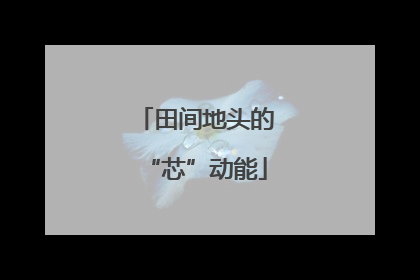 田间地头的“芯”动能