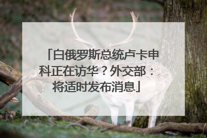 白俄罗斯总统卢卡申科正在访华？外交部：将适时发布消息