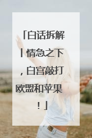 白话拆解丨情急之下，白宫敲打欧盟和苹果！
