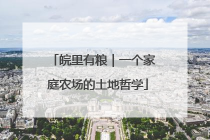 皖里有粮｜一个家庭农场的土地哲学