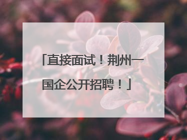 直接面试！荆州一国企公开招聘！