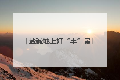 盐碱地上好“丰”景