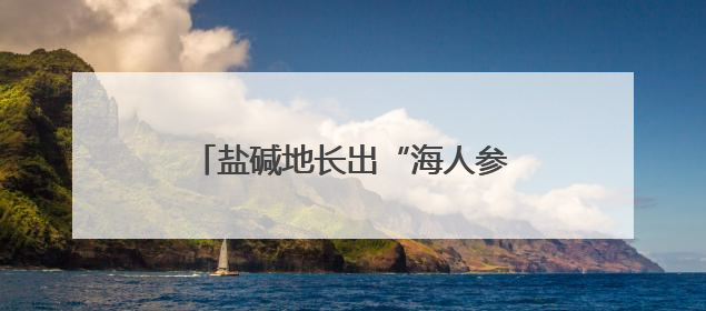 盐碱地长出“海人参” 小小海虫草为海洋经济注入新活力