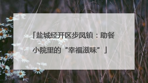 盐城经开区步凤镇：助餐小院里的“幸福滋味”