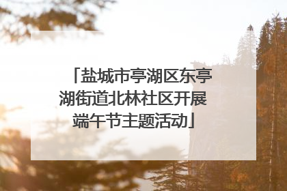 盐城市亭湖区东亭湖街道北林社区开展端午节主题活动