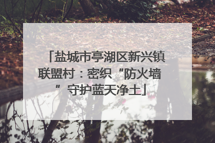 盐城市亭湖区新兴镇联盟村：密织“防火墙”守护蓝天净土