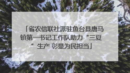 省农信联社派驻鱼台县唐马镇第一书记工作队助力“三夏”生产 彰显为民担当