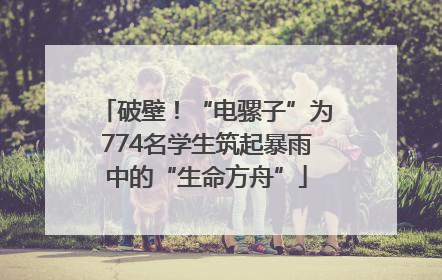 破壁！“电骡子”为774名学生筑起暴雨中的“生命方舟”