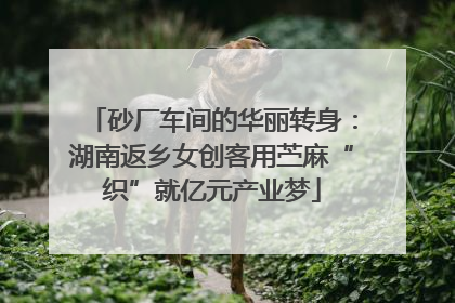 砂厂车间的华丽转身：湖南返乡女创客用苎麻“织”就亿元产业梦