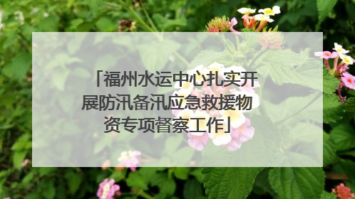 福州水运中心扎实开展防汛备汛应急救援物资专项督察工作