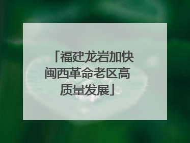 福建龙岩加快闽西革命老区高质量发展