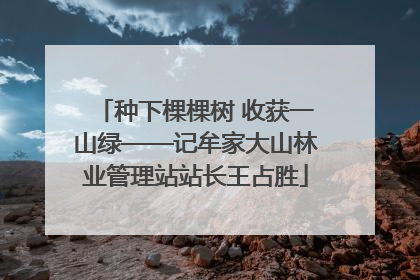 种下棵棵树 收获一山绿——记牟家大山林业管理站站长王占胜