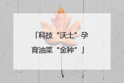 科技“沃土”孕育油菜“金种”