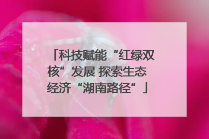 科技赋能“红绿双核”发展 探索生态经济“湖南路径”