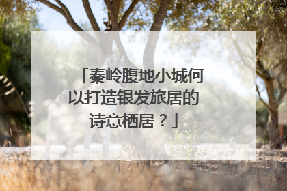 秦岭腹地小城何以打造银发旅居的诗意栖居？
